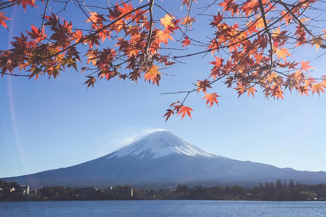 Mount Fuji (Mt. Fuji) Private Tour by Car With Pickup From Tokyo - Detailed Itinerary