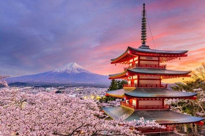 Mount Fuji (Mt. Fuji) Private Tour by Car With Pickup From Tokyo - Vehicle and Amenities