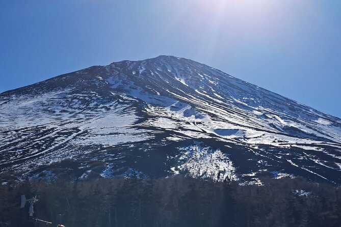 Mount Fuji (Mt. Fuji) Private Tour by Car With Pickup From Tokyo - Pickup and Drop-off