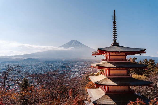Mount Fuji (Mt. Fuji) Private Tour by Car With Pickup From Tokyo - Customer Reviews