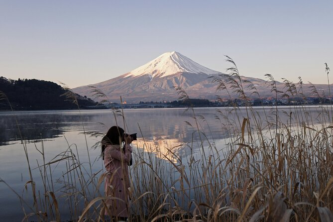 Mount Fuji (Mt. Fuji) Private Tour by Car With Pickup From Tokyo - Accessibility and Considerations