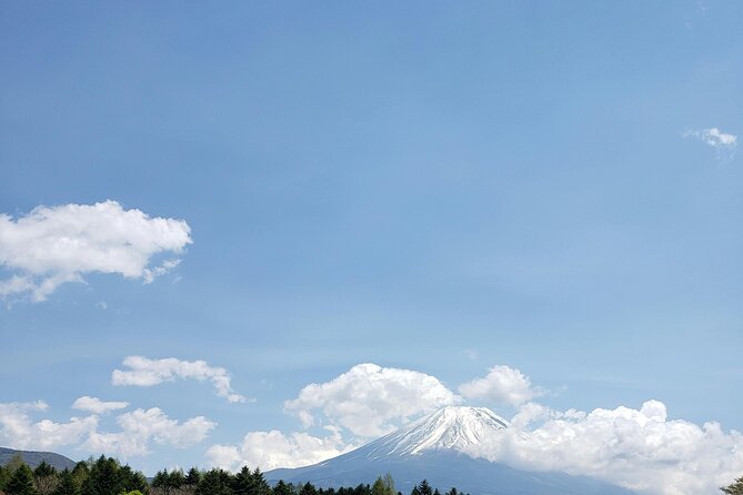 Mount Fuji (Mt. Fuji) Private Tour by Car With Pickup From Tokyo - Company Commitment