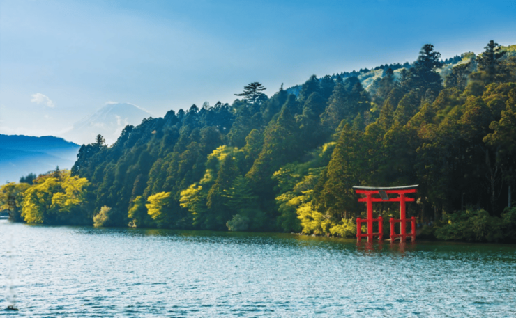 Mount Fuji or Hakone Private Customized Group Tour - Good To Know