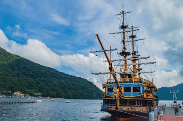 Mount Fuji or Hakone Private Customized Group Tour - Customer Reviews and Feedback