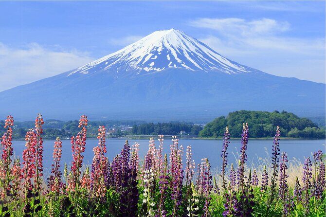 Mount Fuji Panoramic Day Trip from Tokyo - Good To Know