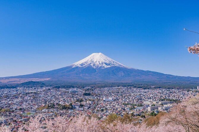 Mount Fuji Panoramic Day Trip from Tokyo - Who Should Consider This Tour?