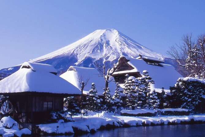Mount Fuji Panoramic Day Trip from Tokyo - What’s Included & What You Should Consider
