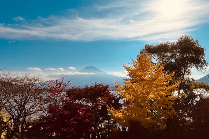 Mount Fuji Panoramic View & Shopping Day Tour - Inclusions