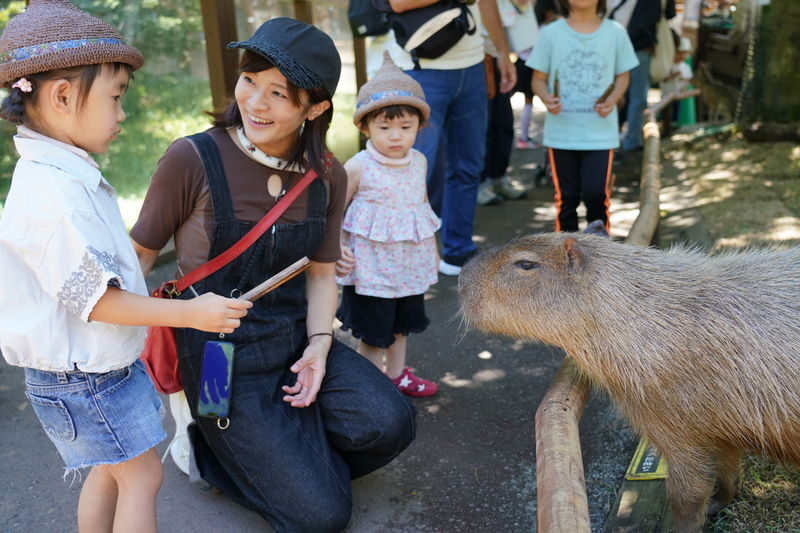 Mount Fuji Parent-Child Day Trip: Fuji Safari Park & Lake Yamanaka Mount Fuji Scenic View & Oshino Hakkai (Chinese/English-speaking leader-Departing from Tokyo/Shinjuku) - Oshino Hakkai: clear springs and village scenes