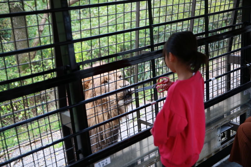 Mount Fuji Parent-Child Day Trip: Fuji Safari Park & Lake Yamanaka Mount Fuji Scenic View & Oshino Hakkai (Chinese/English-speaking leader-Departing from Tokyo/Shinjuku) - What the price covers, and what it does not