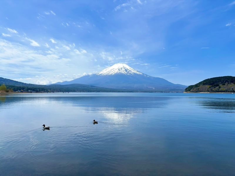 Mount Fuji Parent-Child Day Trip: Fuji Safari Park & Lake Yamanaka Mount Fuji Scenic View & Oshino Hakkai (Chinese/English-speaking leader-Departing from Tokyo/Shinjuku) - The long ride and timing matter
