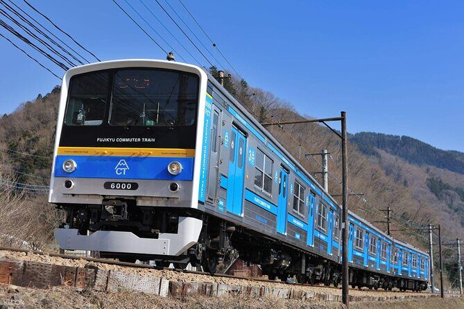 Mount Fuji Passes (optional) - Good To Know