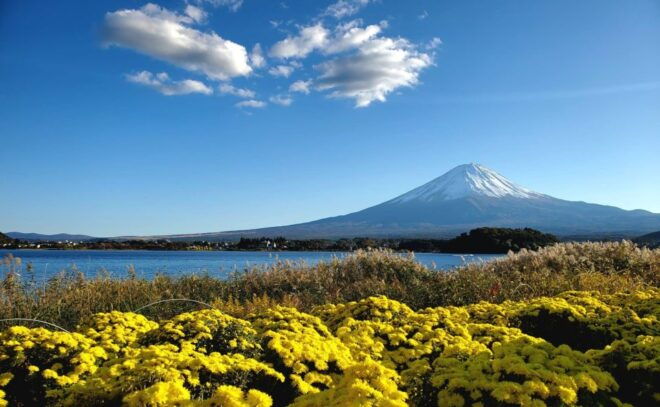 Mount Fuji Personalized Private Tour W/English Guide - Meetup Information