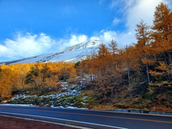 Mount Fuji Personalized Private Tour W/English Guide - How to Book