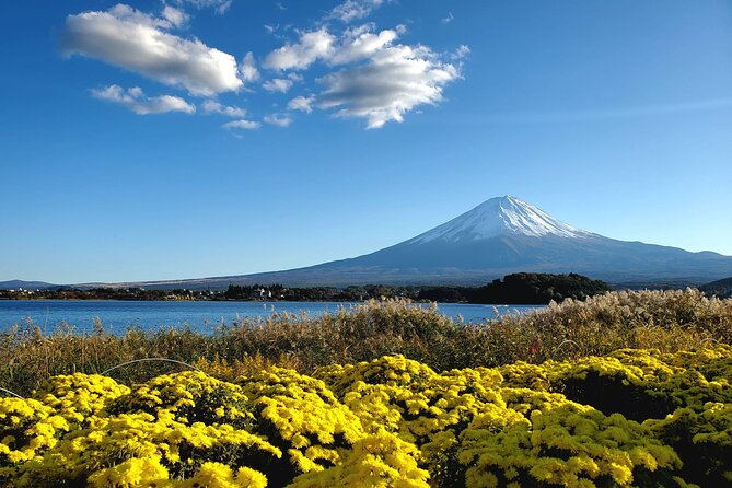 Mount Fuji Personalized Private Tour With English Speaking Guide - Tour Highlights