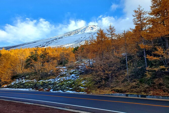 Mount Fuji Personalized Private Tour With English Speaking Guide - Guides Expertise