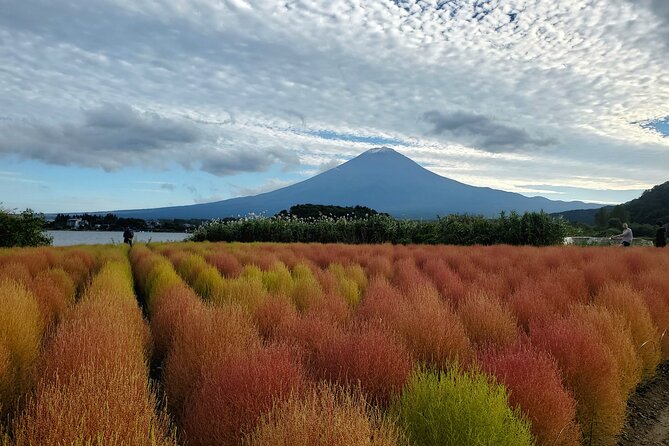 Mount Fuji Personalized Private Tour With English Speaking Guide - Pricing and Inclusions