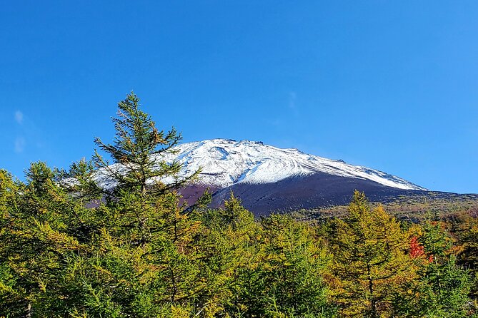 Mount Fuji Personalized Private Tour With English Speaking Guide - Booking Information