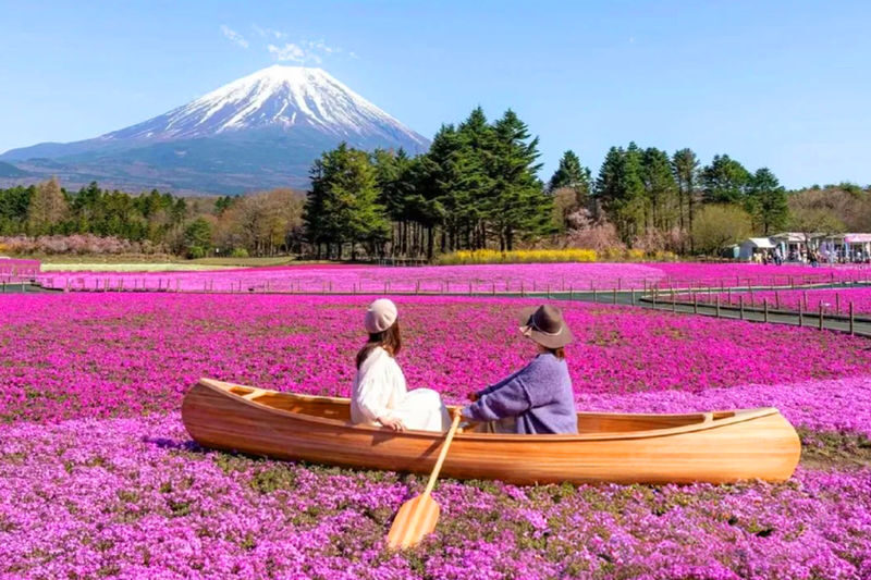 Mount Fuji Popular Attractions/Lake Yamanaka Walk & Cruise Day Trip (Small Group of 9) - Oshino Hakkai’s clear spring ponds