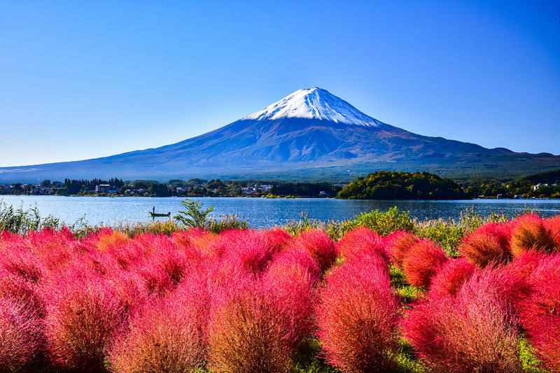 Mount Fuji Popular Photo Spot Day Trip: Arakurayama Sengen Park & Lake Kawaguchiko Oishi Park & Oshino Hakkai & Lawson & Hikawa Clock Shop (Departing from Tokyo) - Who should book this tour?