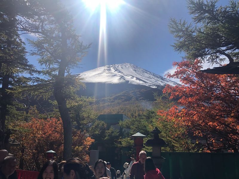 Mount Fuji Premium Cruise and Sake Tour (English Speaking Guide) - Ide Sake Brewery: tasting local craft