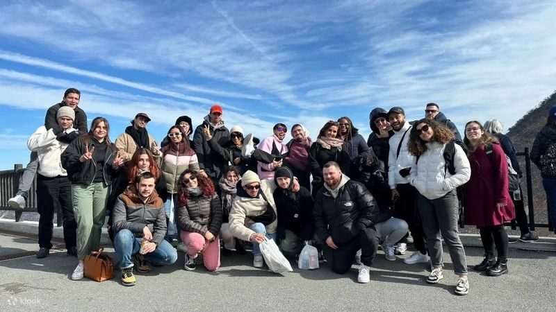 Mount Fuji Premium Cruise and Sake Tour (English Speaking Guide) - Who should book this Fuji day trip?