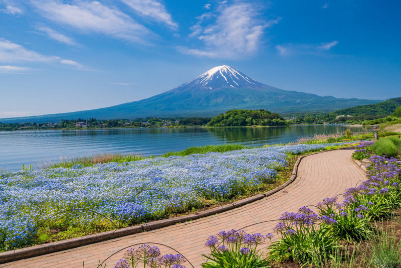 Mount Fuji Private Chartered Day Trip (From Tokyo) - Key points before you book