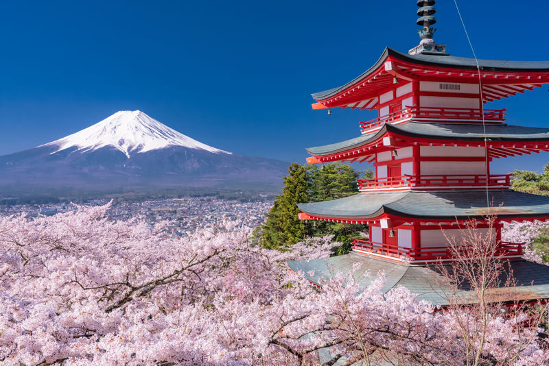 Mount Fuji Private Chartered Day Trip (From Tokyo) - Take time beside Lake Kawaguchi