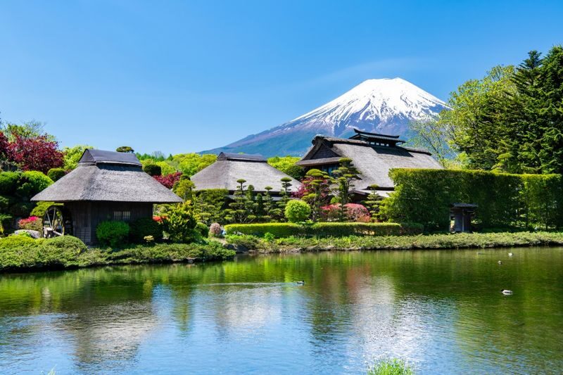 Mount Fuji Private Chartered Day Trip (From Tokyo) - See the spring waters at Oshino Hakkai