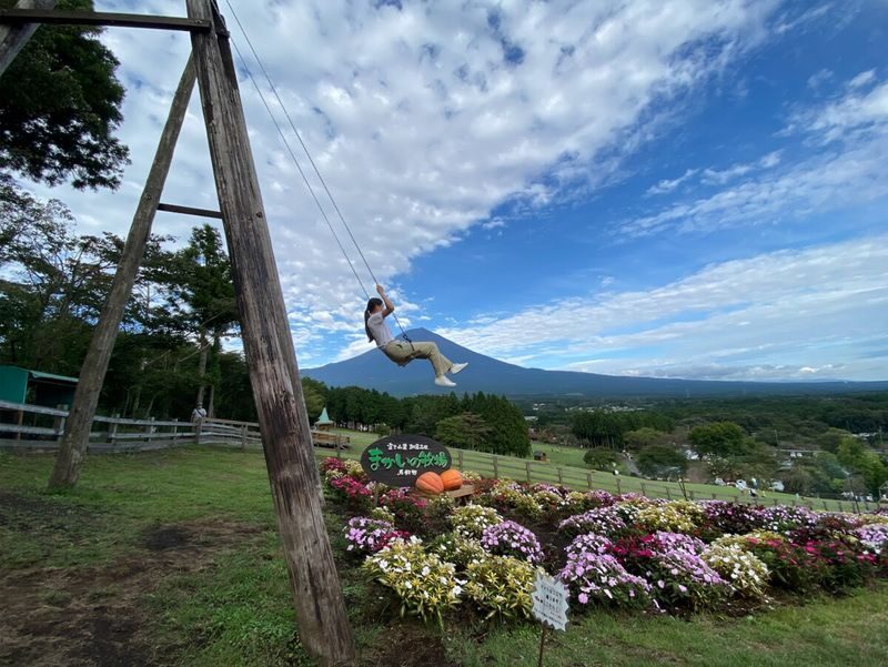 Mount Fuji Private Chartered Day Trip (From Tokyo) - Choose a route that matches your day