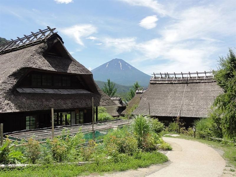 Mount Fuji Private Chartered Day Trip (From Tokyo) - Watch the clock, traffic, and extra charges