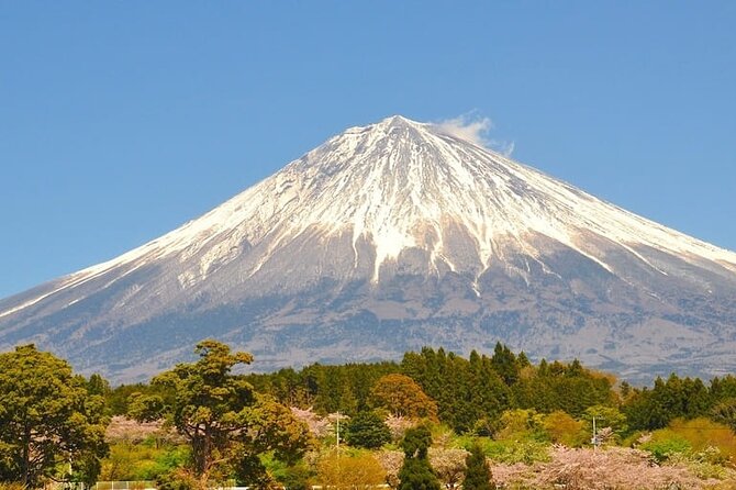 Mount Fuji Private Custom Tour From Tokyo - Date and Travelers