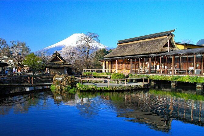 Mount Fuji Private Custom Tour From Tokyo - Inclusions