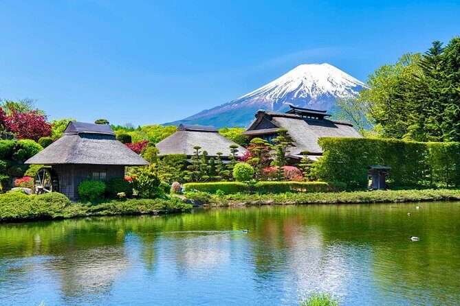 Mount Fuji Private Custom Tour with Local English Speaking Guide - Vehicle and Comfort