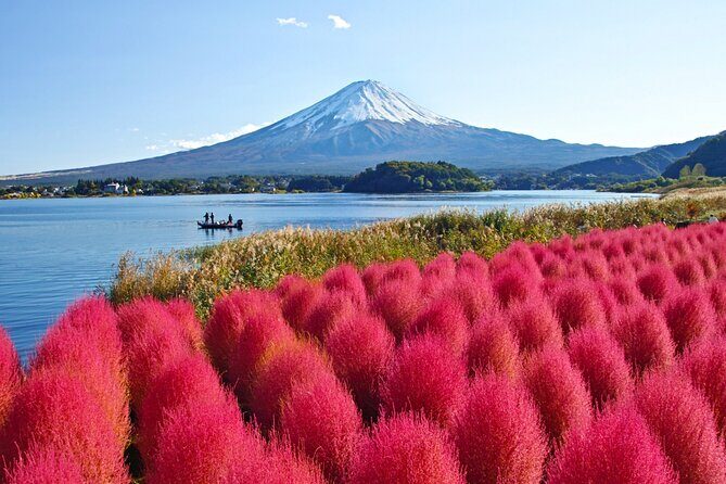 Mount Fuji Private Custom Tour with Local English Speaking Guide - Practical Considerations