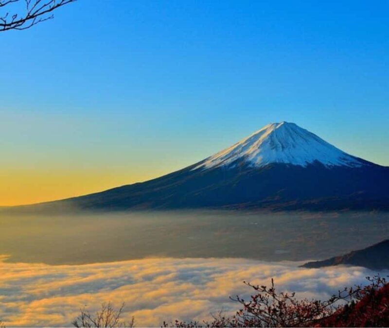 Mount Fuji Private Day Tour customized with English driver - The Experience: What You Can Expect