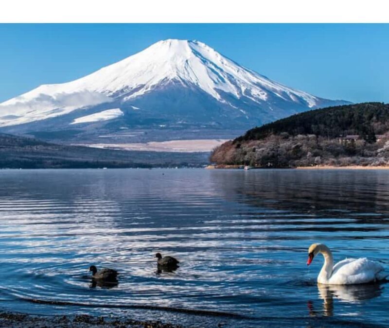 Mount Fuji Private Day Tour customized with English driver - Final Thoughts