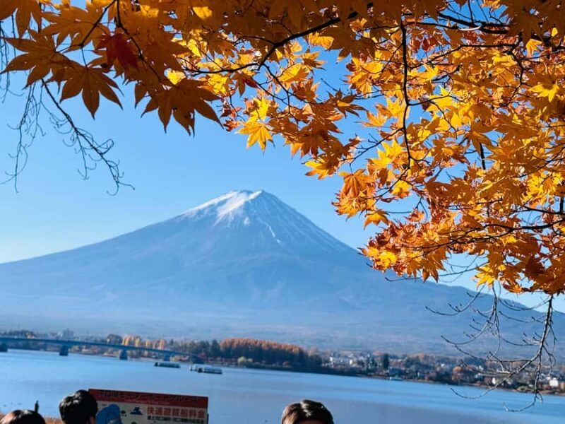 Mount Fuji Private Day Tour From Tokyo (Customizable) - Authentic Experiences and Review Insights