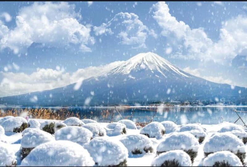 Mount Fuji Private Day Tour From Tokyo (Customizable) - Who Is This Tour Best For?