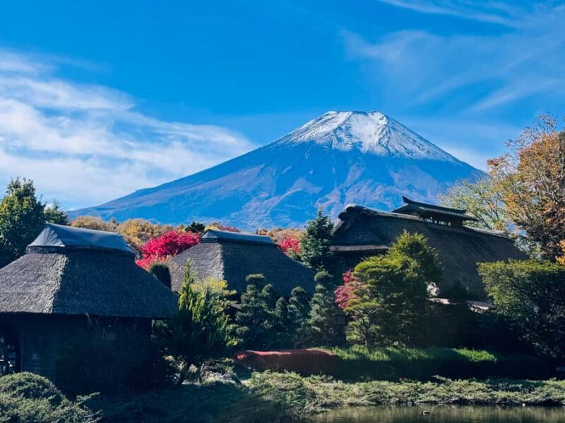 Mount Fuji Private Day Tour From Tokyo (Customizable) - Practical Tips and Considerations