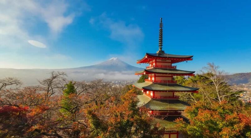 Mount Fuji Private Day Tour From Tokyo (Customizable) - Who Is This Tour Best For?