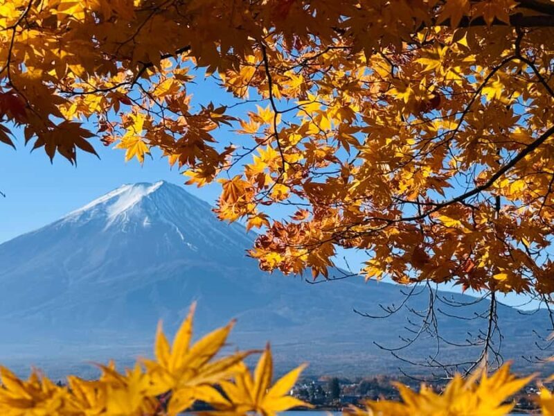 Mount Fuji Private Day Tour From Tokyo (Customizable) - Final Thoughts