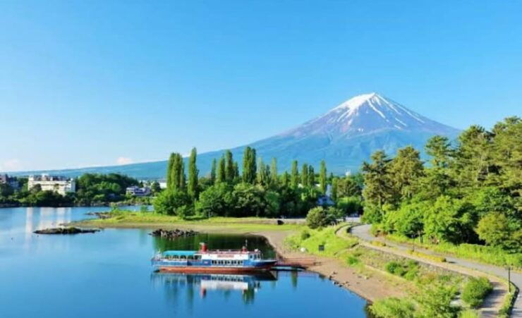 Mount Fuji Private Day Trip Tours - Good To Know