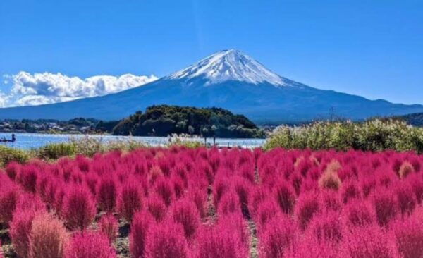 Mount Fuji Private Day Trip Tours - Customization Options