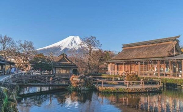Mount Fuji Private Day Trip Tours - Accessibility Features
