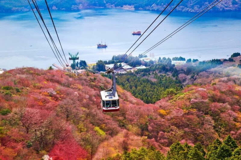 Mount Fuji: Private Full day Tour (Customizable) Eng driver - FAQ