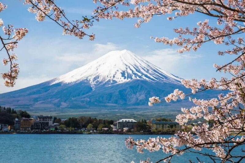 Mount Fuji: Private Full day Tour (Customizable) Eng driver - A Deep Dive into the Mount Fuji Private Tour Experience
