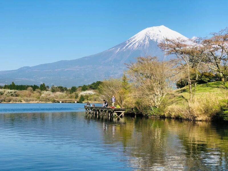 Mount Fuji Private Full Day Tour from Tokyo by Car or Van - Cost Analysis and Value