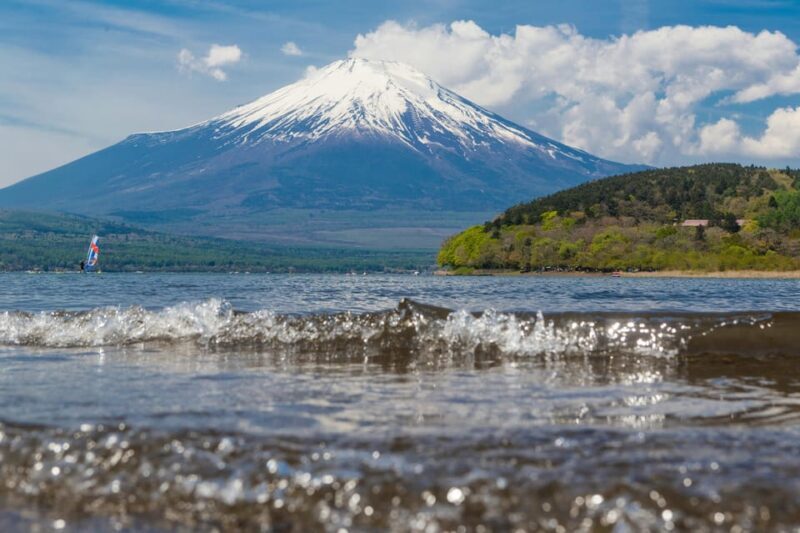 Mount Fuji Private Full Day Tour from Tokyo by Car or Van - The Sum Up