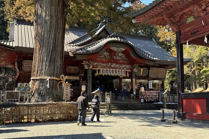 Mount Fuji Private Tour  Discover Magic of Japans Iconic Mount - Unpacking the Experience: What to Expect from the Mount Fuji Private Tour